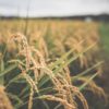 Thumbnail of related posts 049