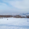 Thumbnail of post image 178