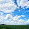 Thumbnail of post image 070