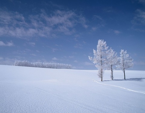 mildseven-hill-winter