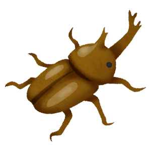 rhinoceros-beetle
